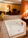 Mountain Inn & Suites - Dunlap TN
