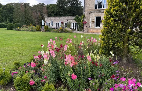 金雀花大廳鄉村酒店