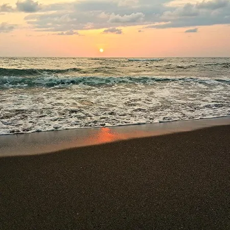 H2O