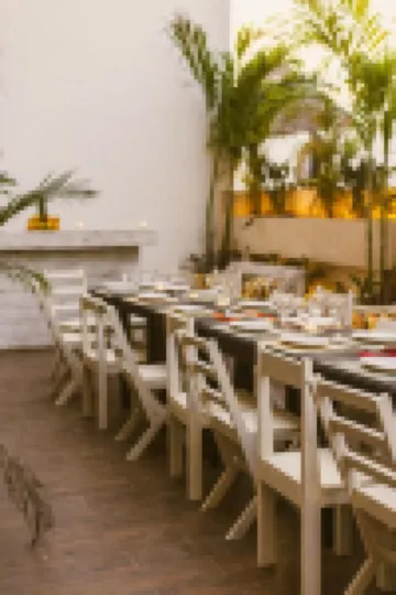 Gardenia Collective
