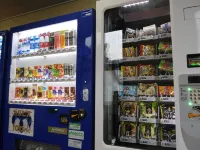 Business Hotel Kei Hotels near Kankaikau