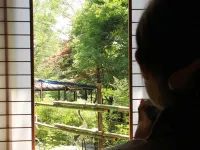 Iwasu-so - Mountain view