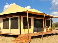 Asama Serengeti Camp - bar