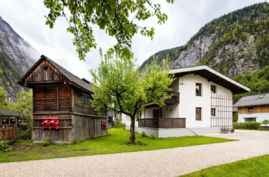 W & S Executive Apartments - Hallstatt I Hotels in 