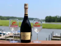 Surry Seafood Company Hotels in Surry
