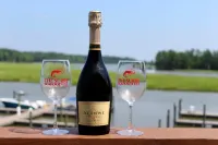 Surry Seafood Company Hotels in Surry