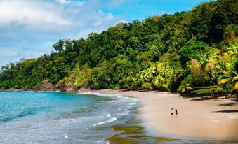 Scp Corcovado Wilderness Lodge