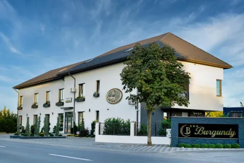 Burgundy Hotels in Плоєшть