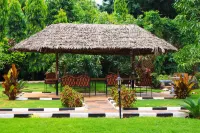 Mama Thea Homes - Homestays