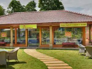 Top 20 Premium Hotels in Gujarat