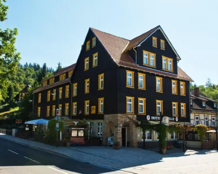 Ferienhotel Forelle Thale Ortsteil Treseburg Hotels in Thale
