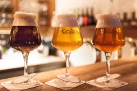 Zum Rittmeister Hotels in Pawesin