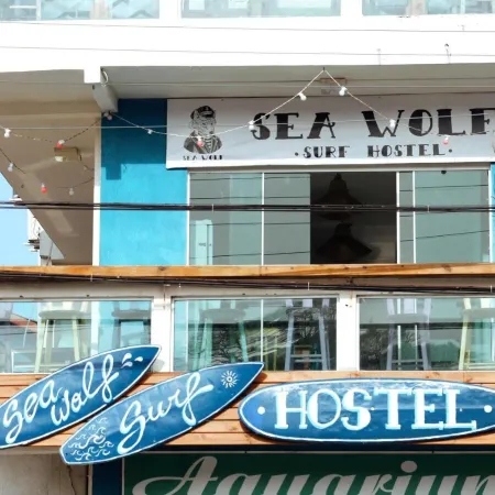Sea Wolf Surf Hostel