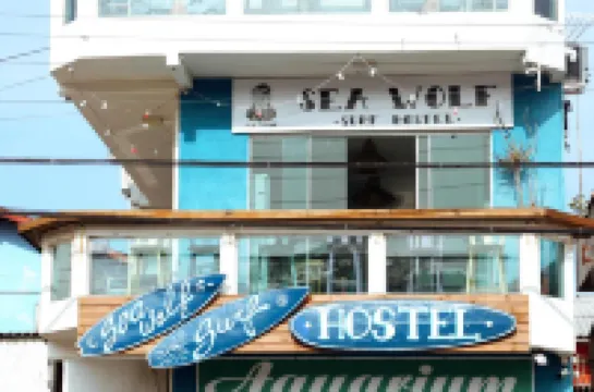 Sea Wolf Surf Hostel