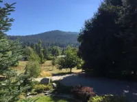 Dew Drop Inn Hotels in Forks