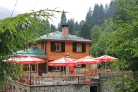 Ayder Avusor Hotel Hotels in Yukarışimşirli