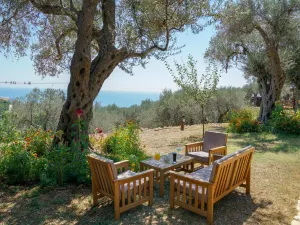 Holiday Park Olive Tree