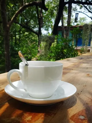 รูปภาพของCalm at Bangphat