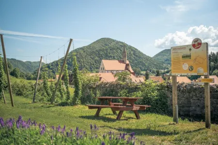 Hotel Kartause Отели в г. Scheibbs