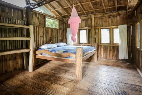 Back to Nature Ecotourism