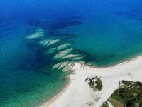 Dionysus Apartments & Suites