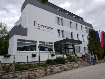 Hotel Promenade Отели в г. Бланкенштайн