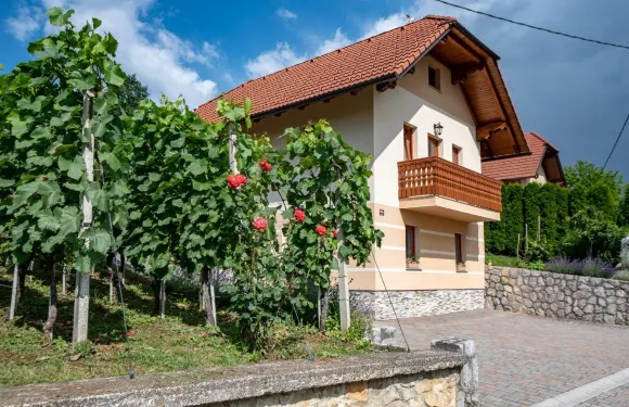 波得派拉密多葡萄園小屋