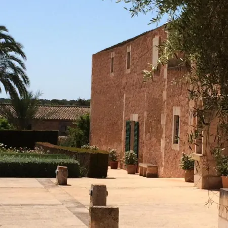 Son Bernadinet
