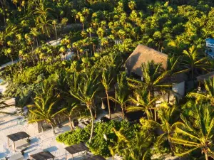 Nest Tulum