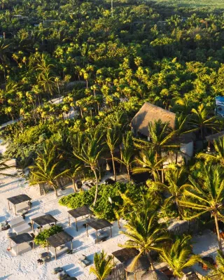 Nest Tulum Hotels in Tulum