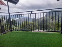 Golden View Guest