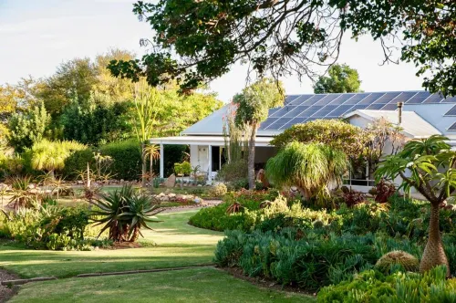 Mo & Rose's Nature Retreat