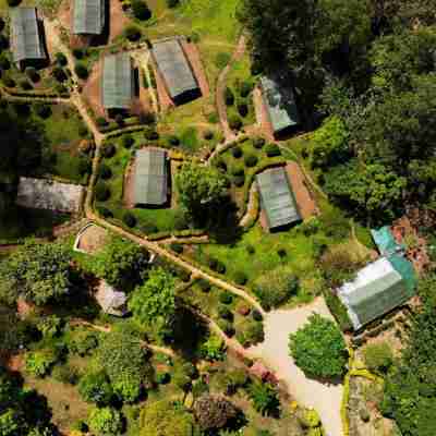 Nature Zone Munnar - A Real Jungle Resort - Authentic Tree House and Premium Tents Hotel Exterior