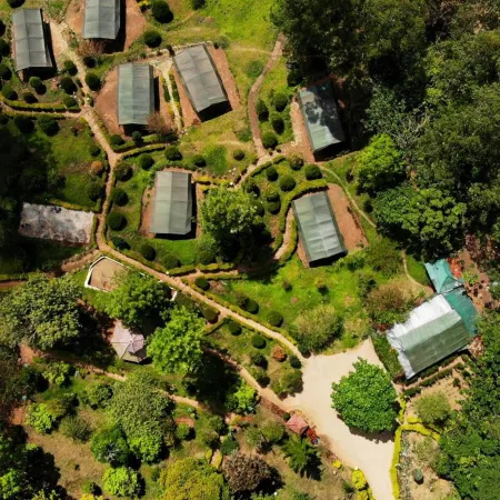 Nature Zone Munnar - A Real Jungle Resort - Authentic Tree House and Premium Tents