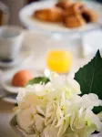 ホテル ロベルタ - 朝食