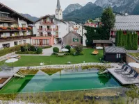 Hotel Goldener Stern Hotels in Abtenau