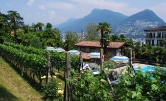 Hotel&Hostel Montarina