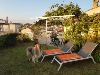 The Best View House