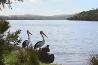 Walpole Rest Point Caravan Park Hotels in Walpole