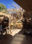 Hostal Copart