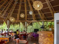 AXKAN PALENQUE, ALBERCAS, GASTRONOMIA MAR y TIERRA & TRAVEL AGENCY Hoteles en Palenque