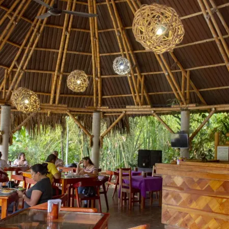 Axkan Palenque, Albercas, Gastronomia Mar y Tierra & Travel Agency