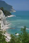 Fiori del Conero