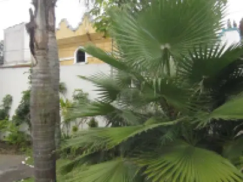 Auto-Hotel Mediterráneo Hoteles en Banderilla