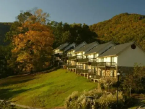 Kingwood Resort & Golf Club Hotels in Rabun County