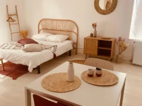 Studio Renard, Style bohème et Atypique, Curistes