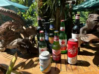 Puunee Wild River Villa's Borobudur