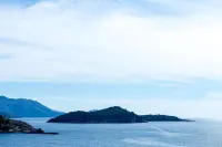 아파트먼트 파코