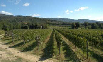 La Casa Colonica Wine and Oil