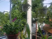 Tai Tri Guest House